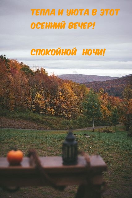 Тепла и уюта в этот осенний вечер! Спокойной ночи!