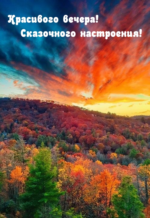 Красивого вечера! Сказочного настроения!