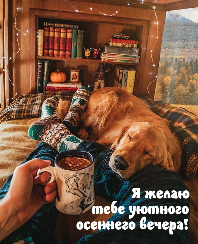 Я желаю тебе уютного осеннего вечера!