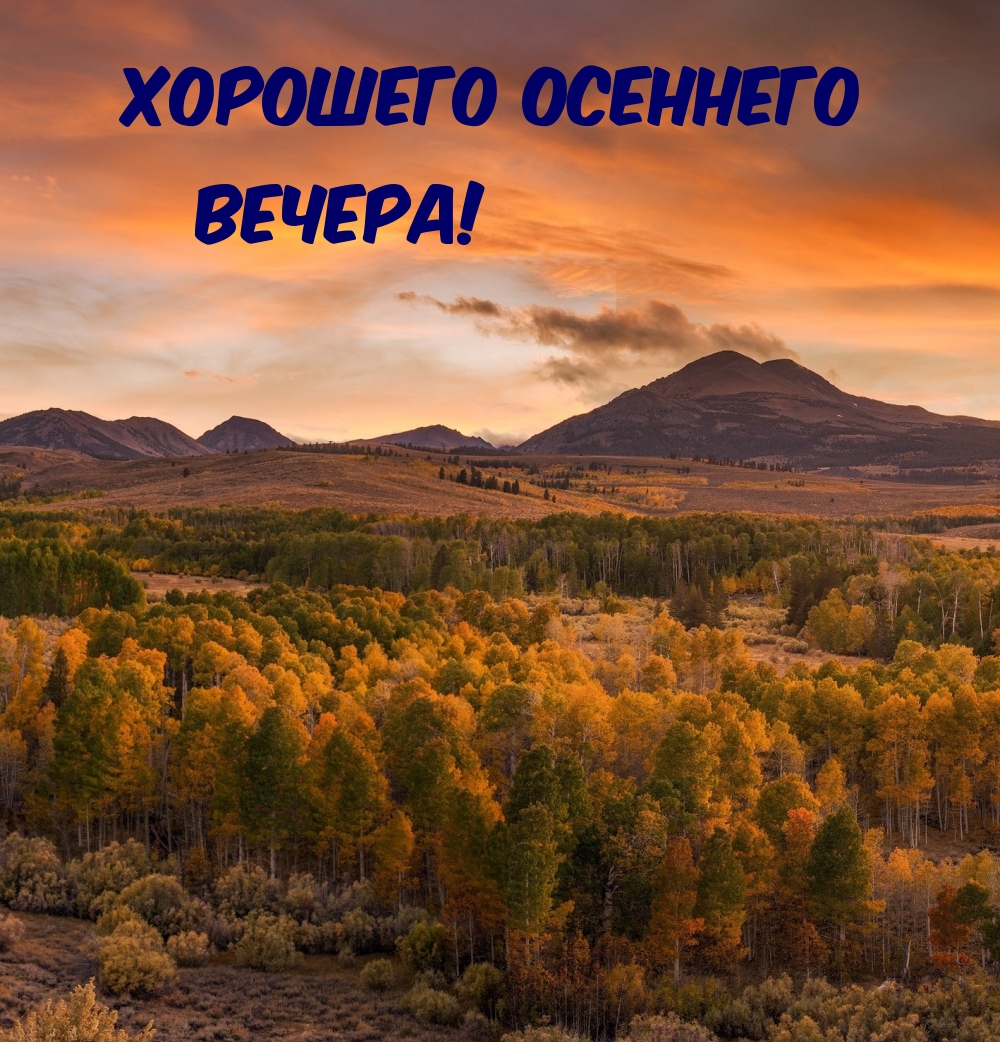 Хорошего осеннего вечера!