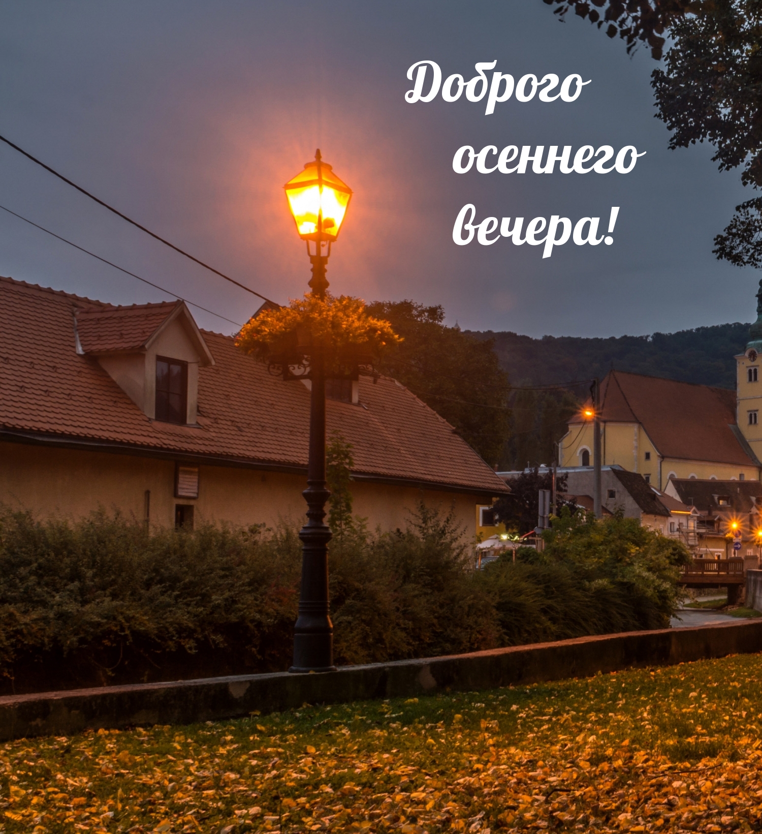 Доброго осеннего вечера!