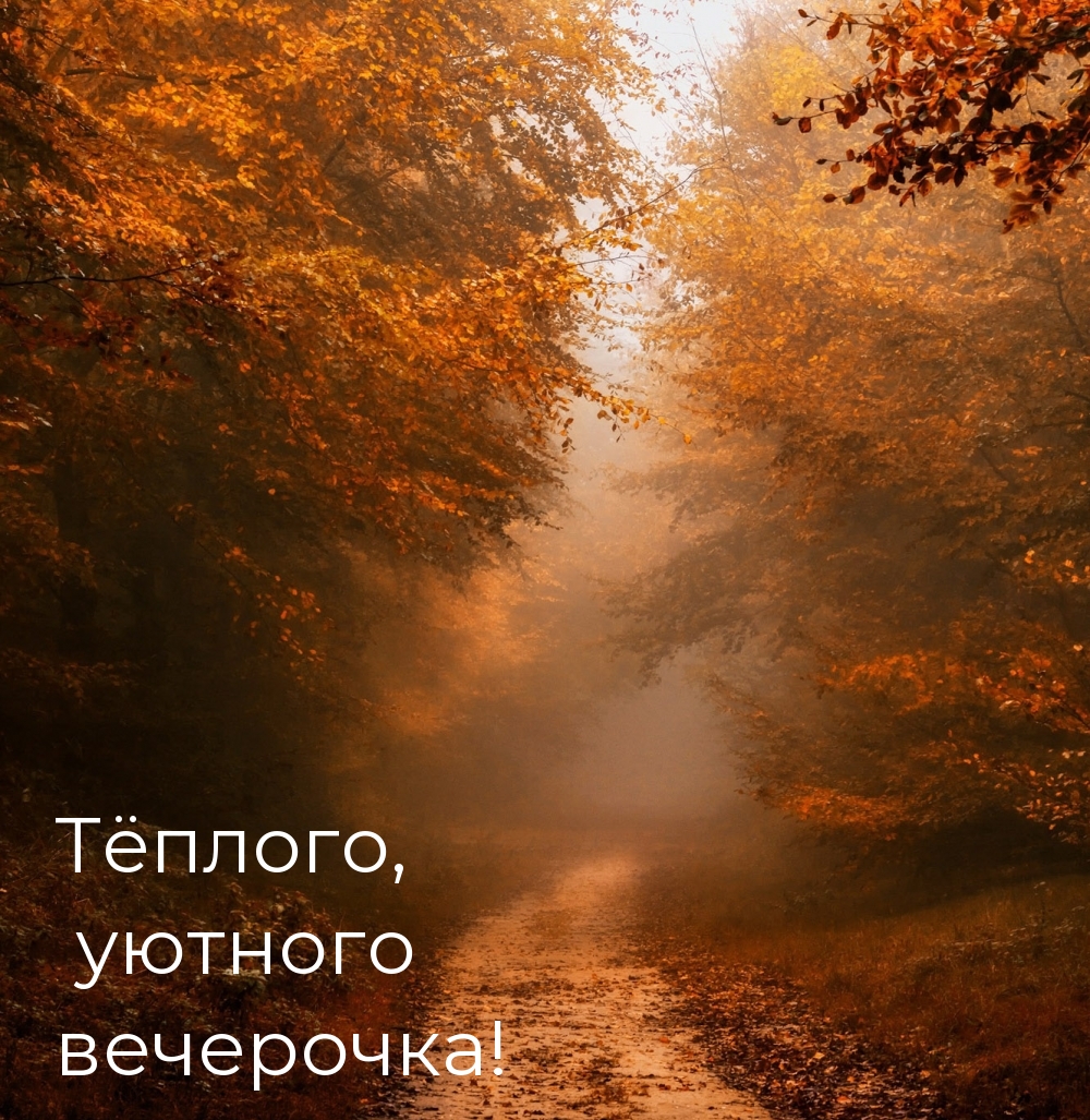 Тёплого, уютного вечерочка!