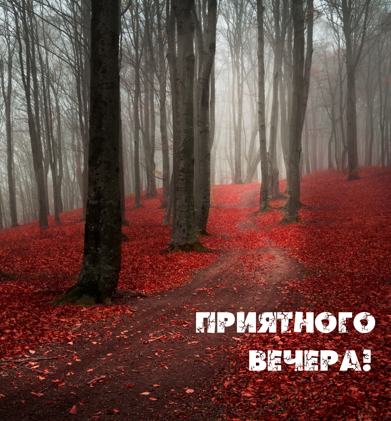 Приятного вечера!