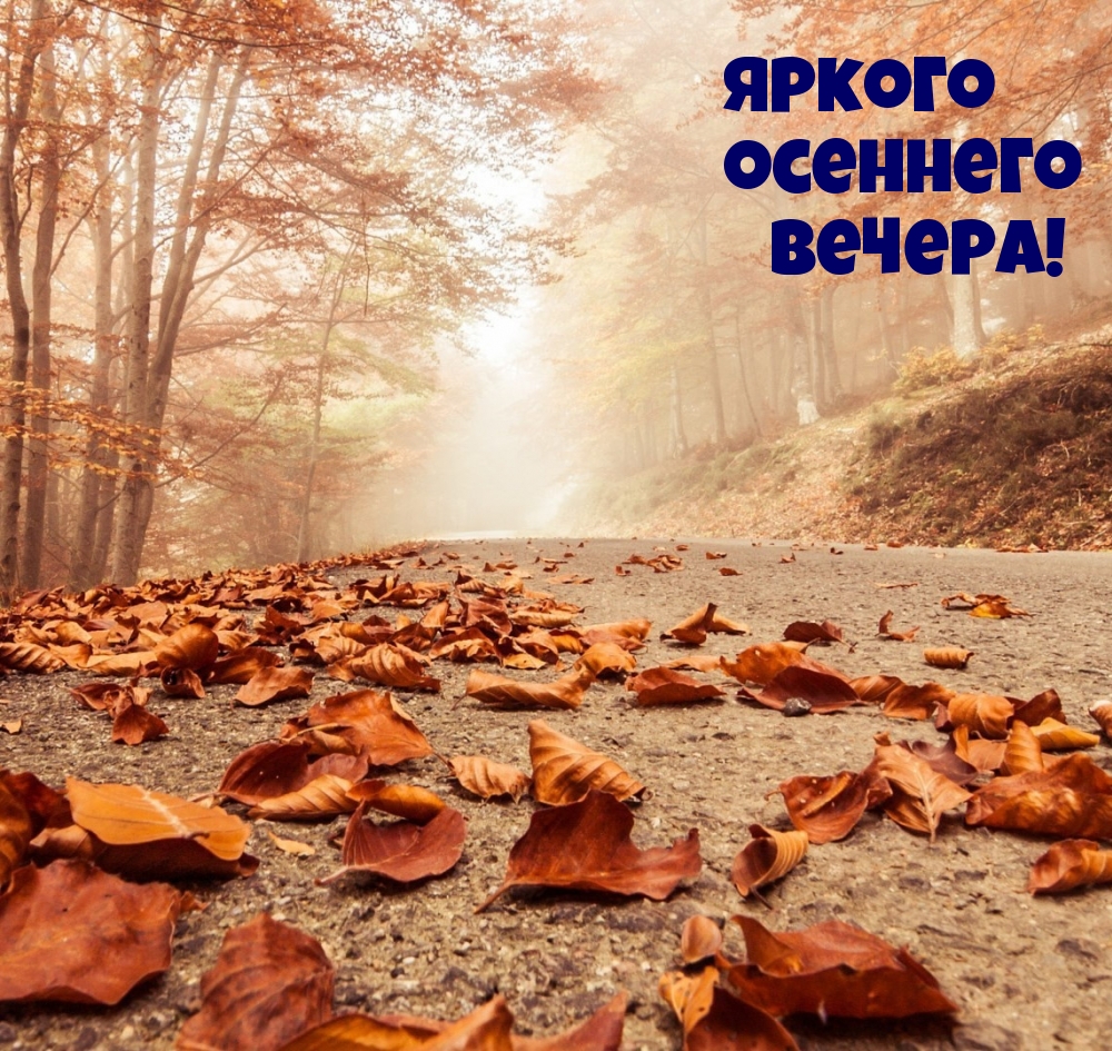 Яркого осеннего вечера!