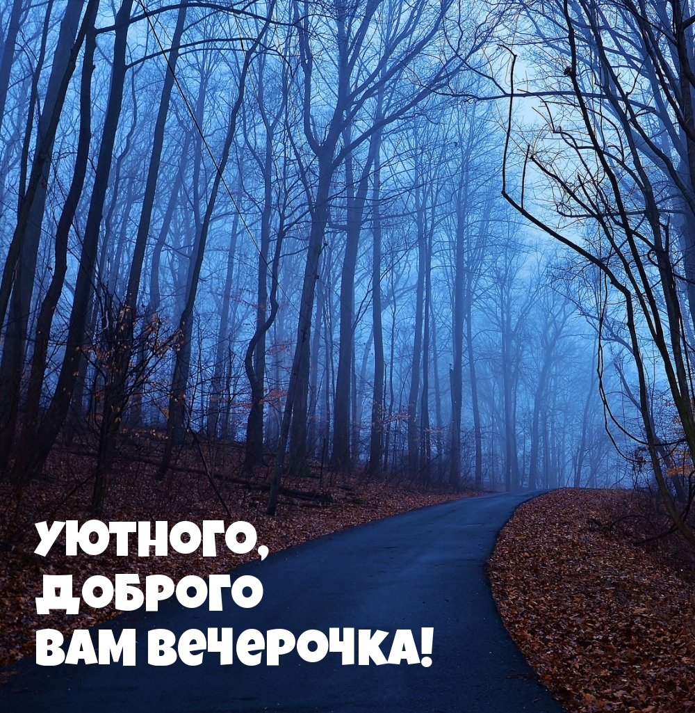 Уютного, доброго вам вечерочка!