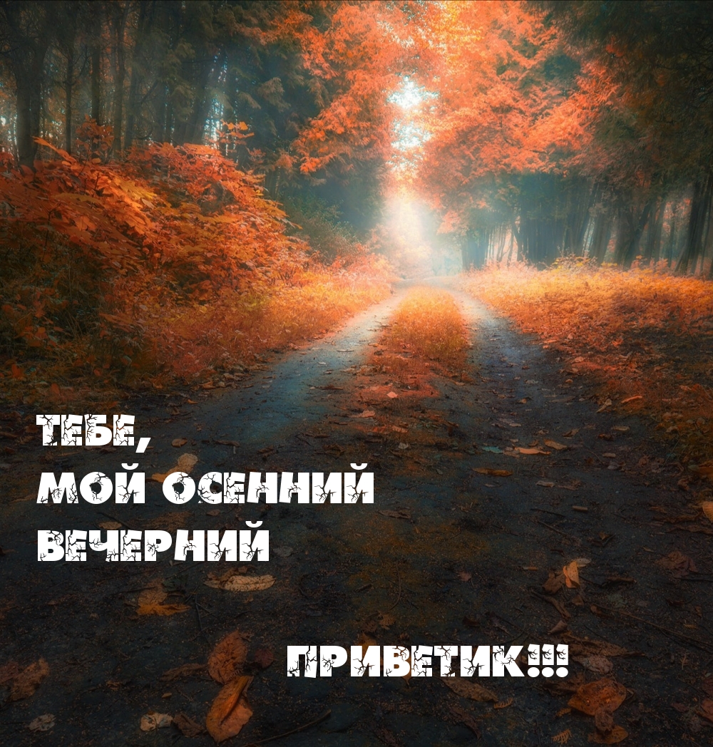 Тебе, мой осенний вечерний приветик!