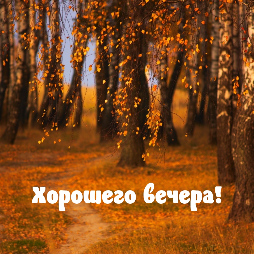 Хорошего вечера!