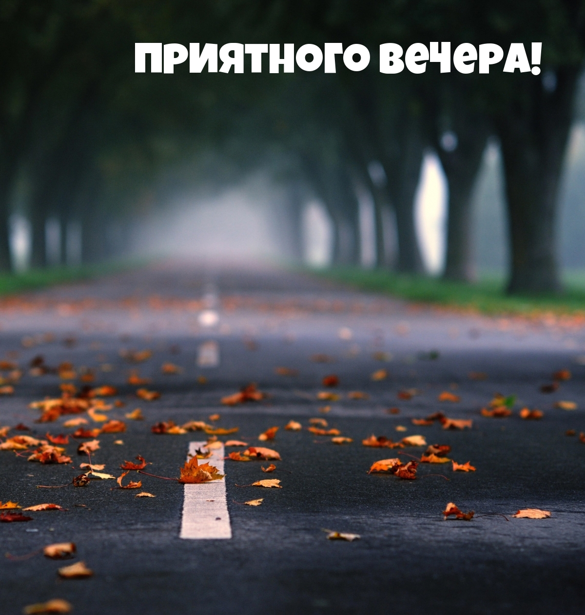 Приятного вечера!