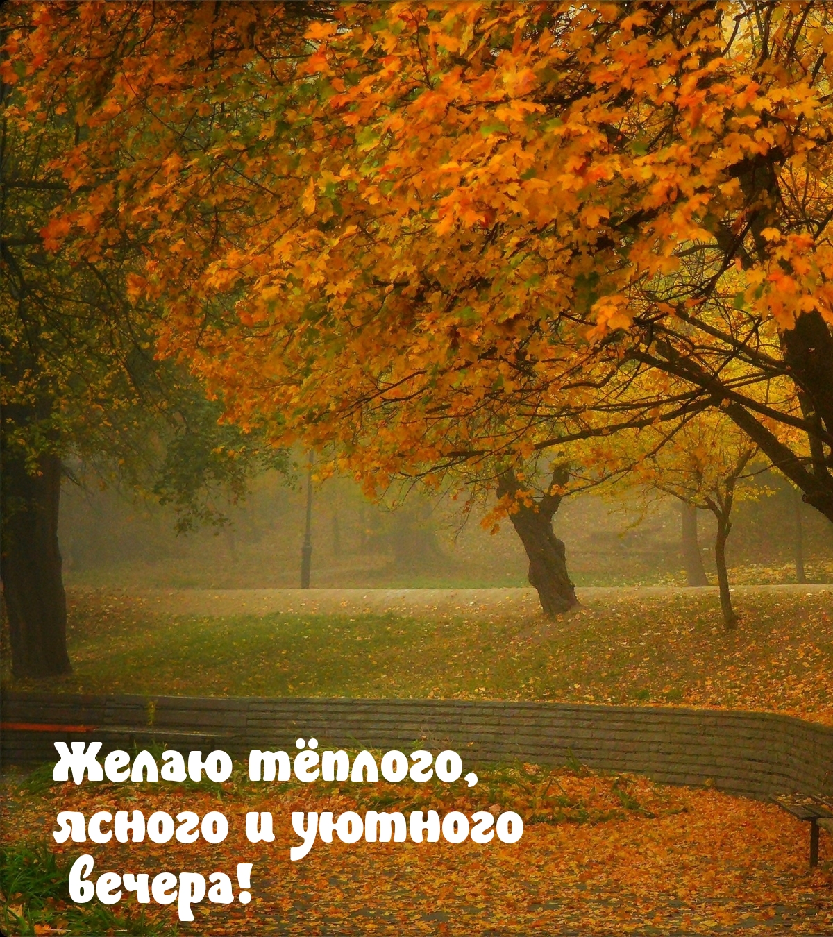Желаю тёплого, ясного и уютного вечера!