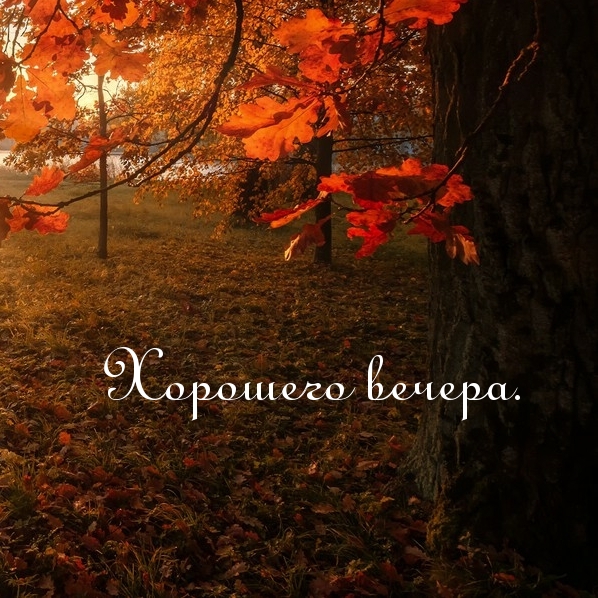 Хорошего вечера.