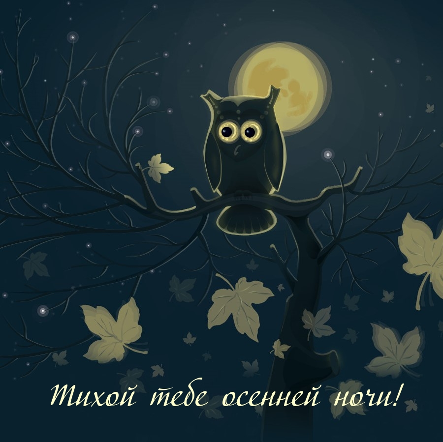Картинки с надписями.  Тихой тебе осенней ночи!.