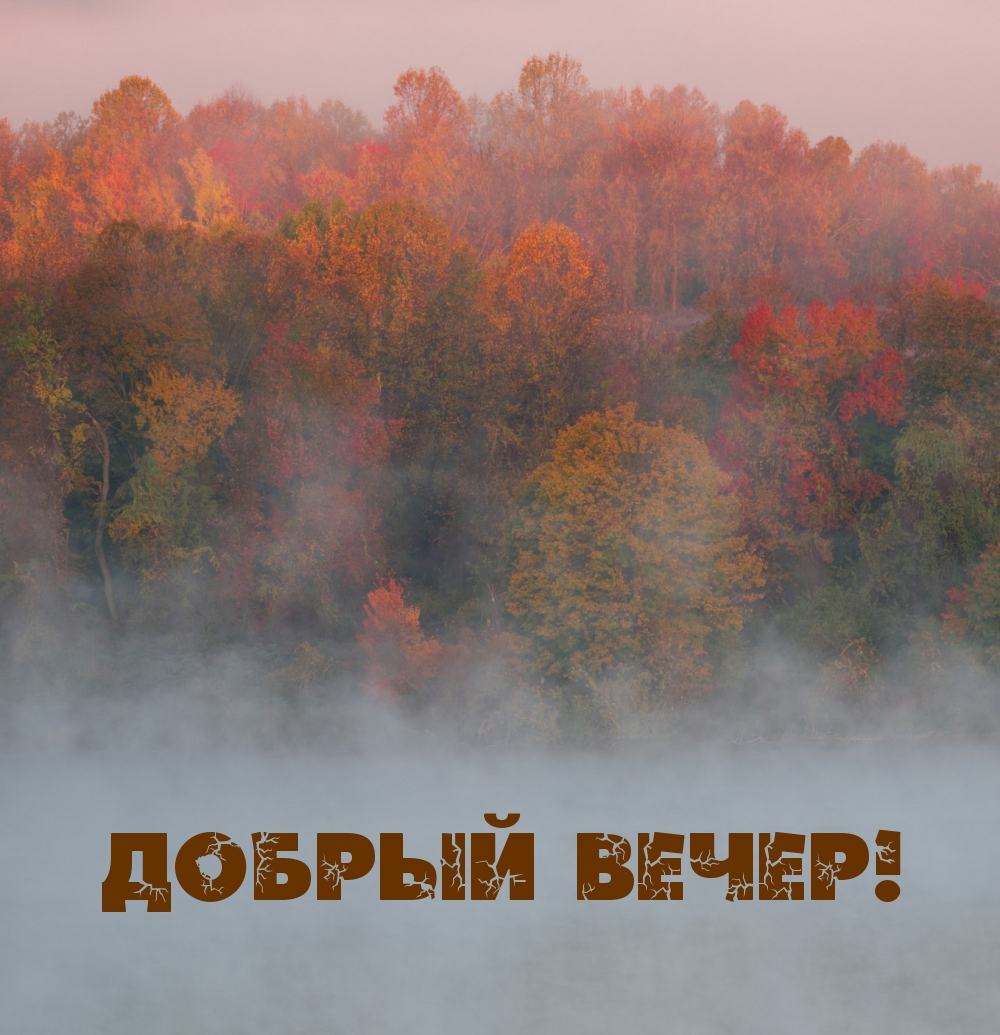 Добрый вечер!