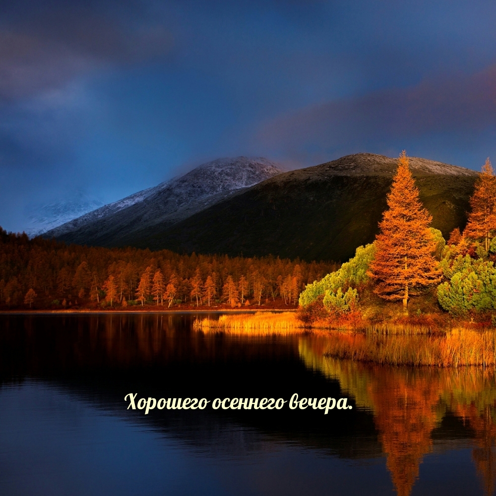 Хорошего осеннего вечера.
