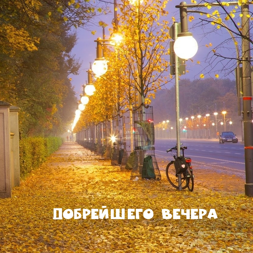Добрейшего вечера
