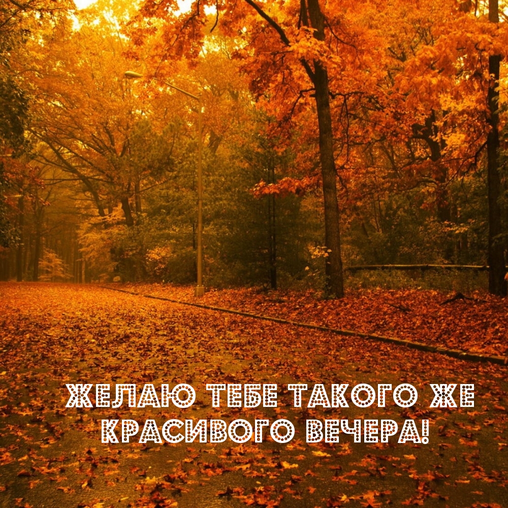 Желаю тебе такого же красивого вечера!