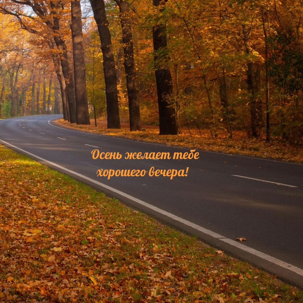 Осень желает тебе хорошего вечера!