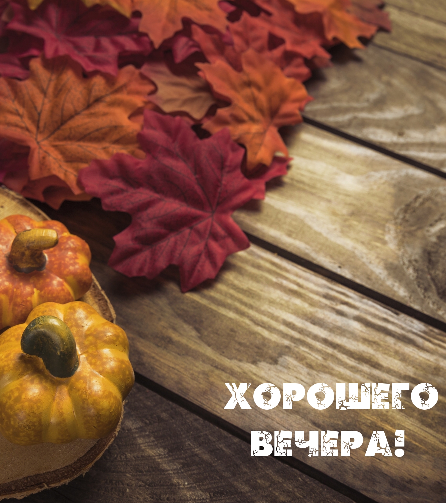 Хорошего вечера!