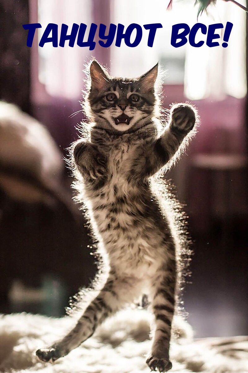 Танцуют все!