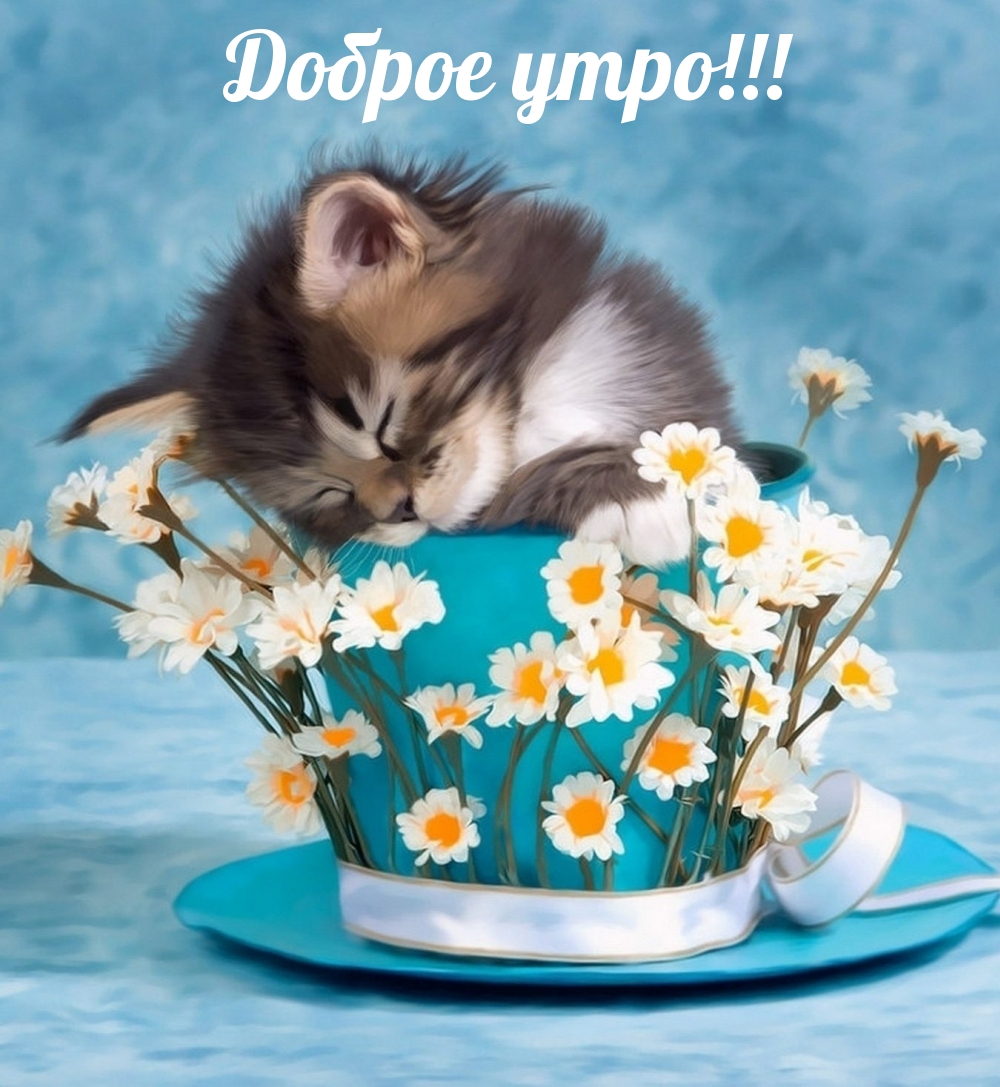 Доброе утро!