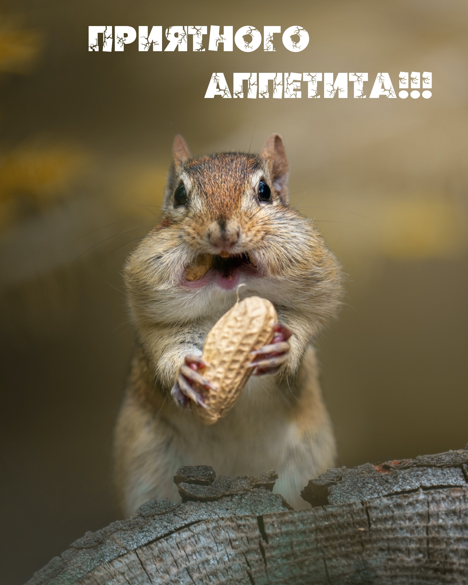 Приятного аппетита!