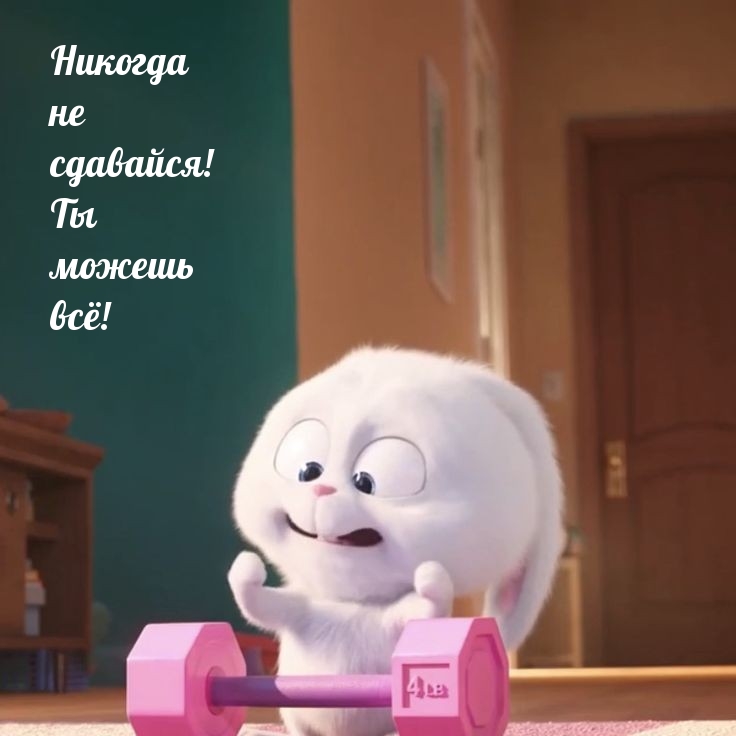 Никогда не сдавайся! Ты можешь всё!