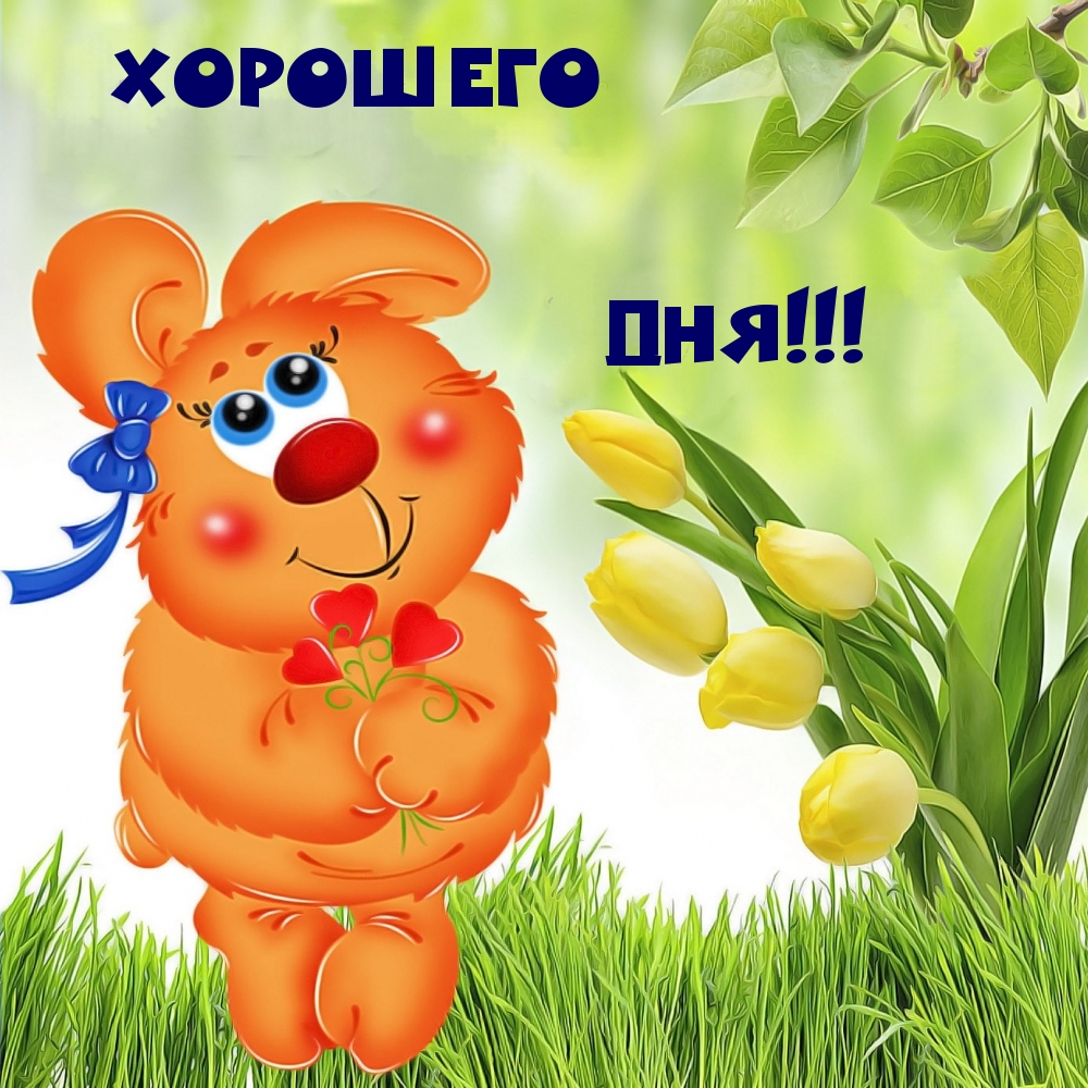 Хорошего дня!