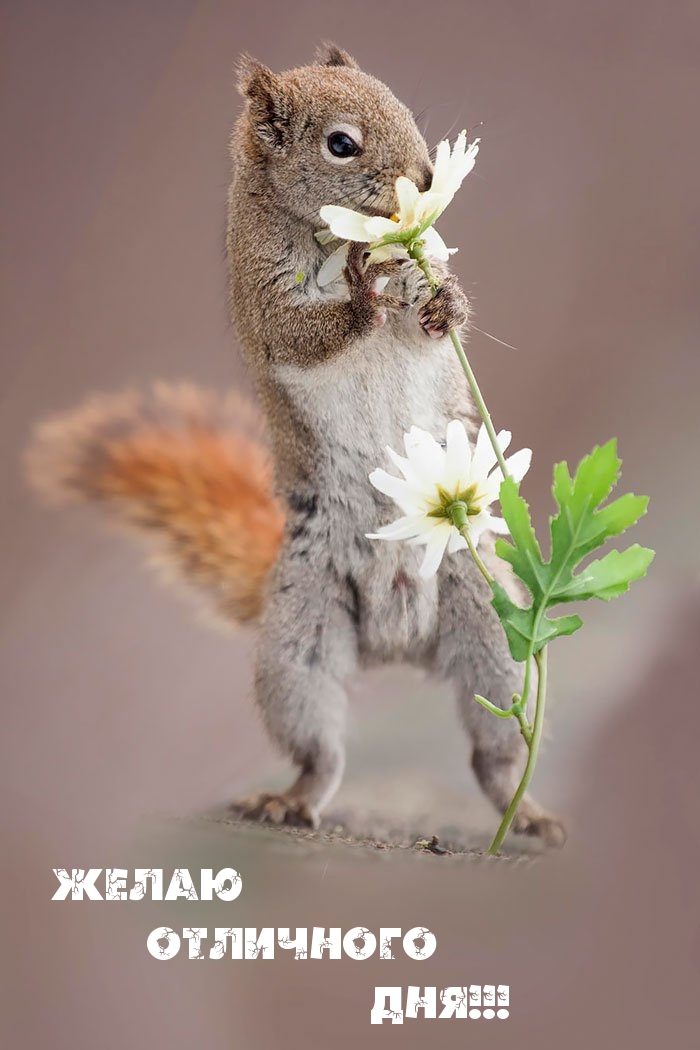 Желаю отличного дня!