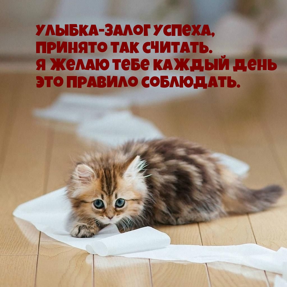 Улыбка-залог успеха, принято так считать.