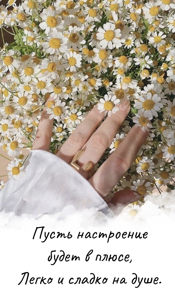 Пусть настроение будет в плюсе, легко и сладко на душе.