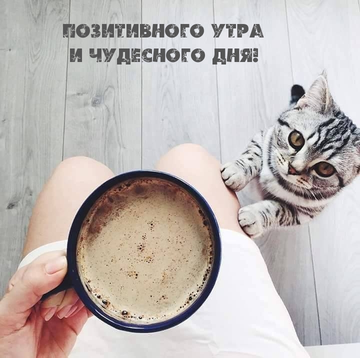 Позитивного утра и чудесного дня!