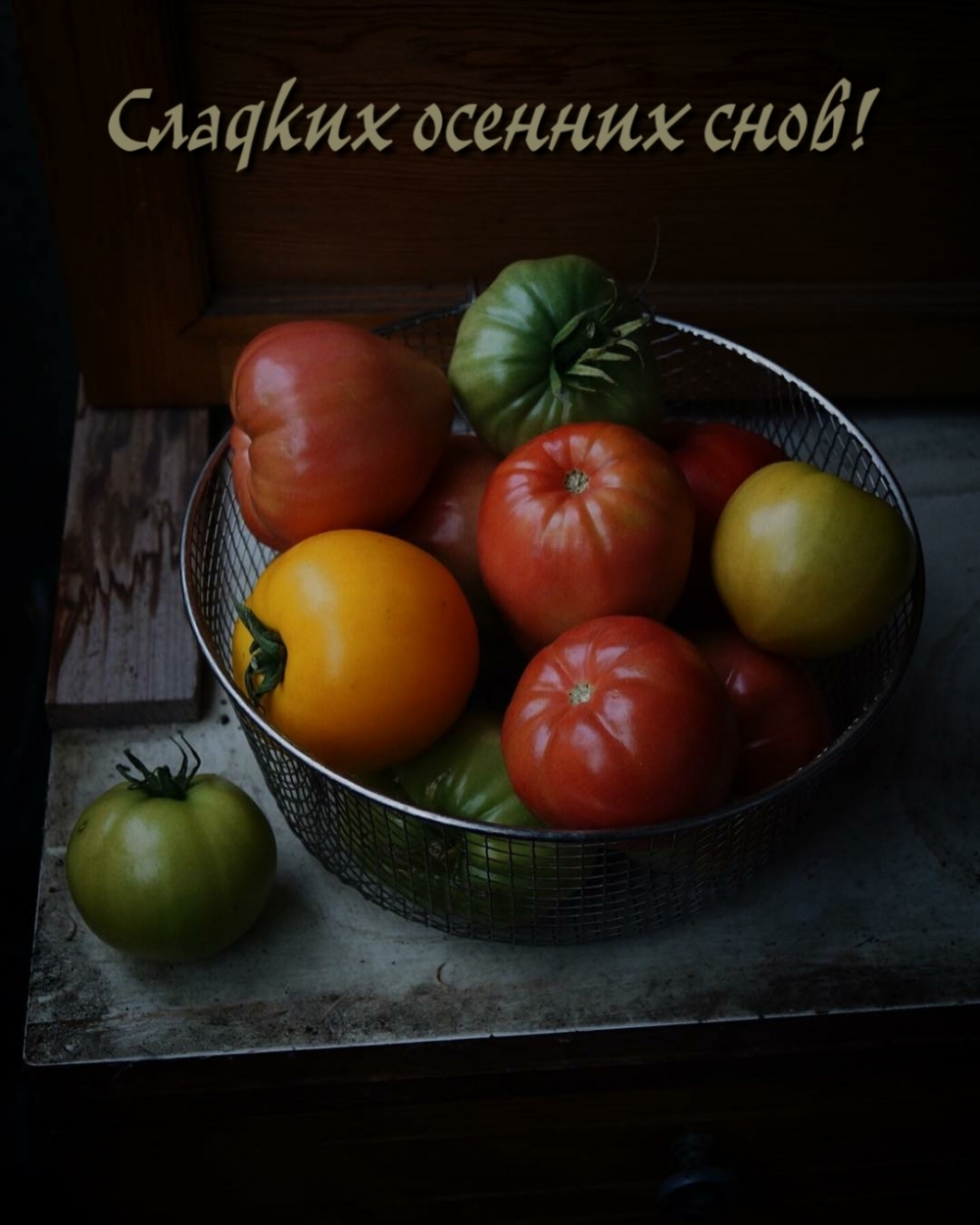 Сладких осенних снов!