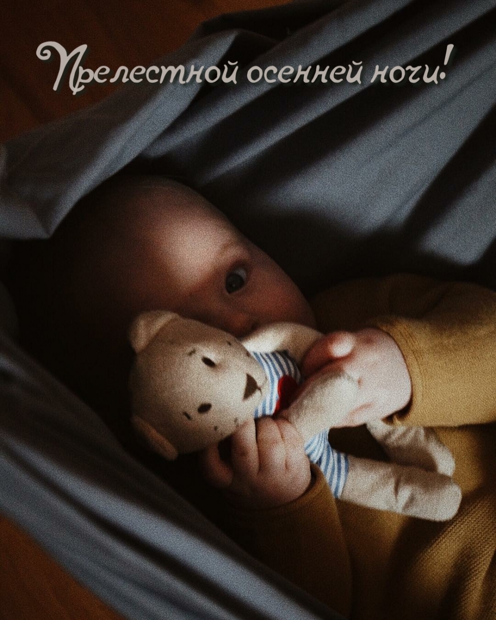 Прелестной осенней ночи!