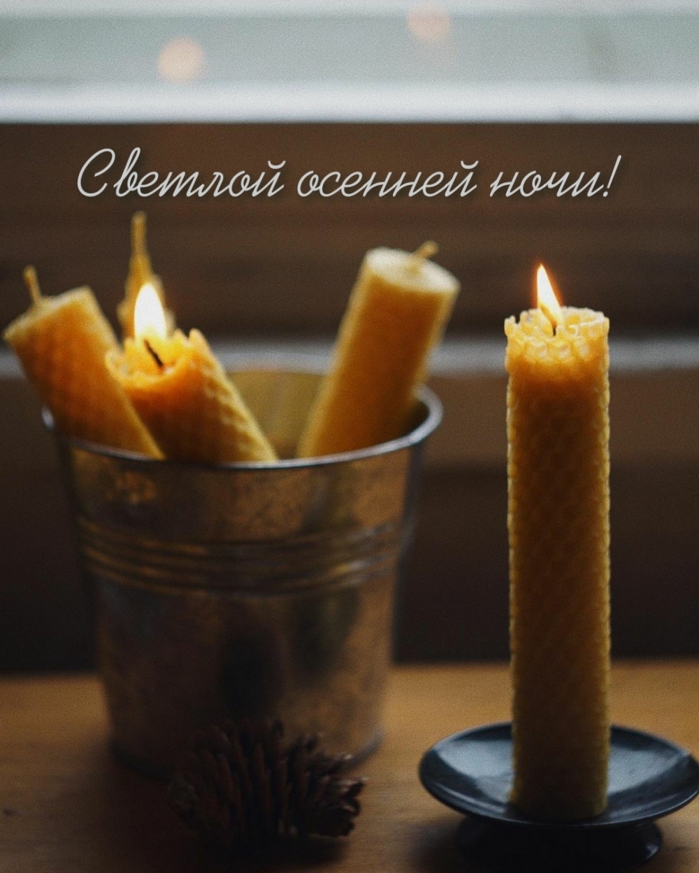 Светлой осенней ночи!