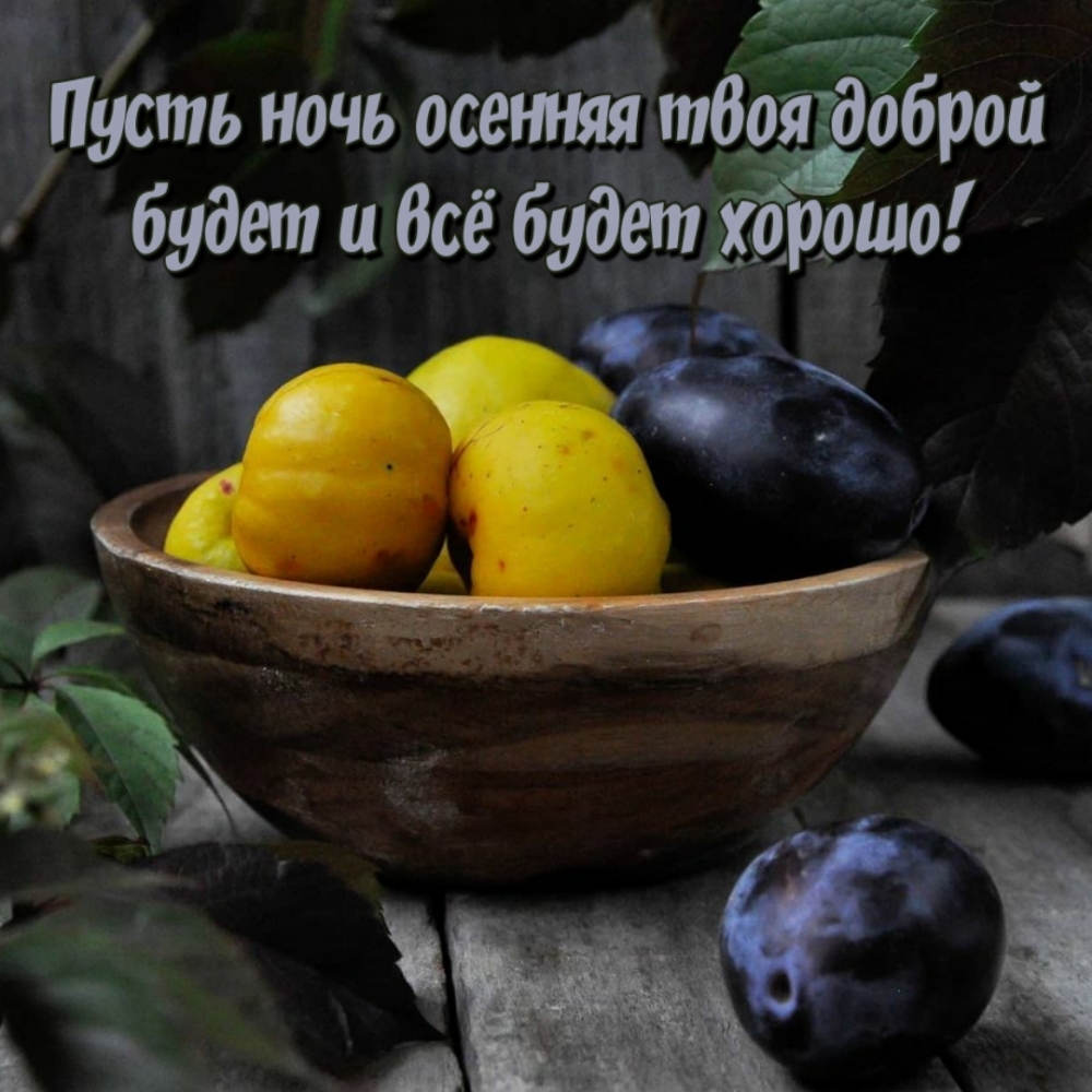 Пусть ночь осенняя твоя доброй будет и всё будет хорошо!