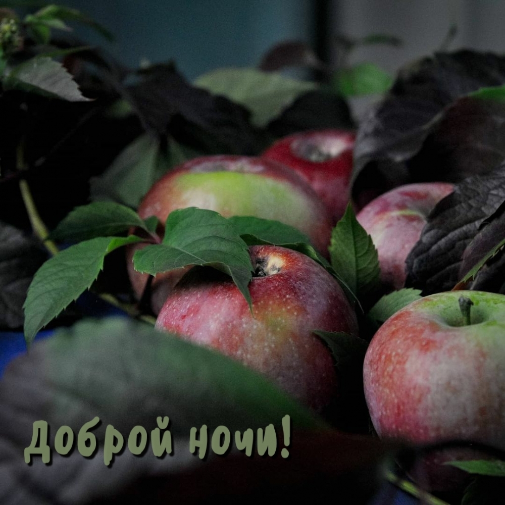 Доброй ночи!