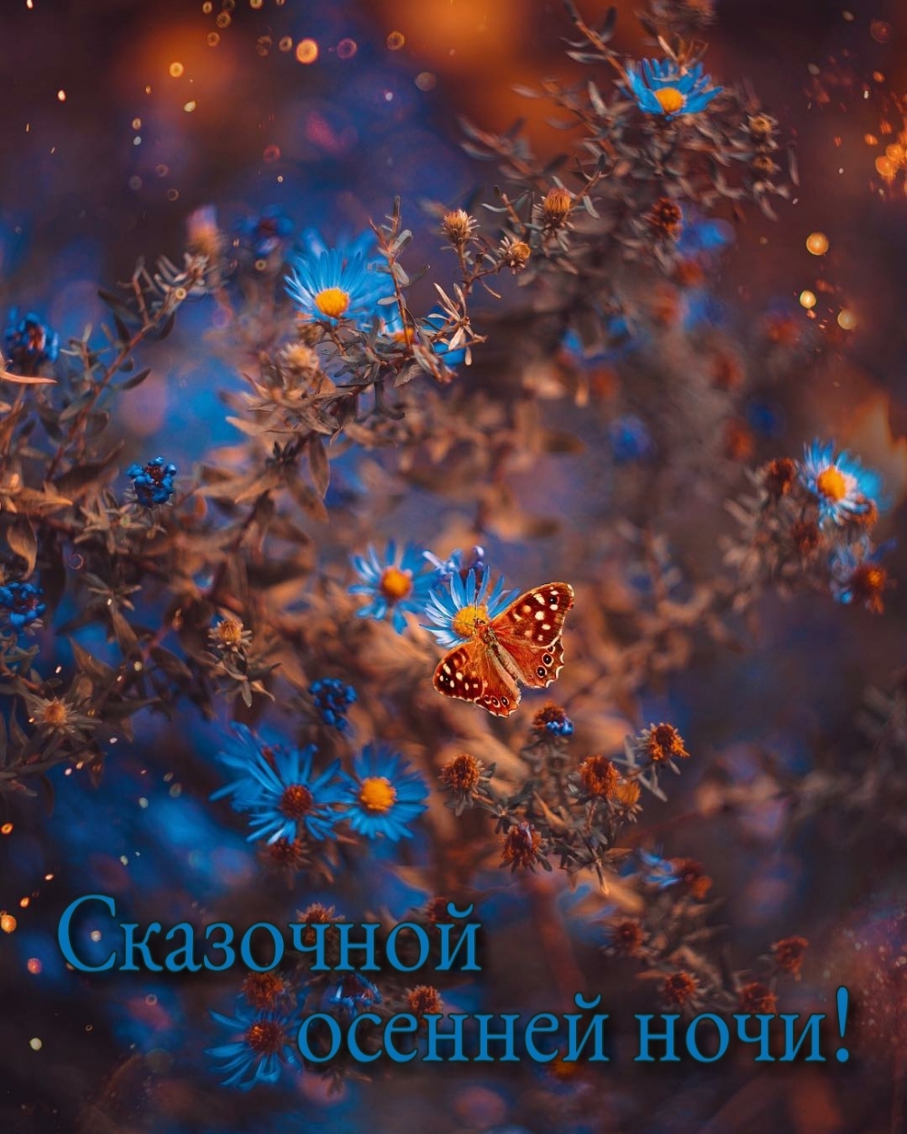 Сказочной осенней ночи!