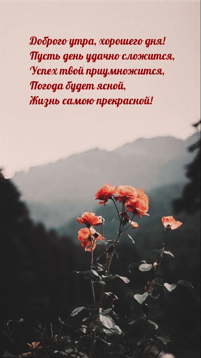 Доброго утра, хорошего дня! Пусть день удачно сложится