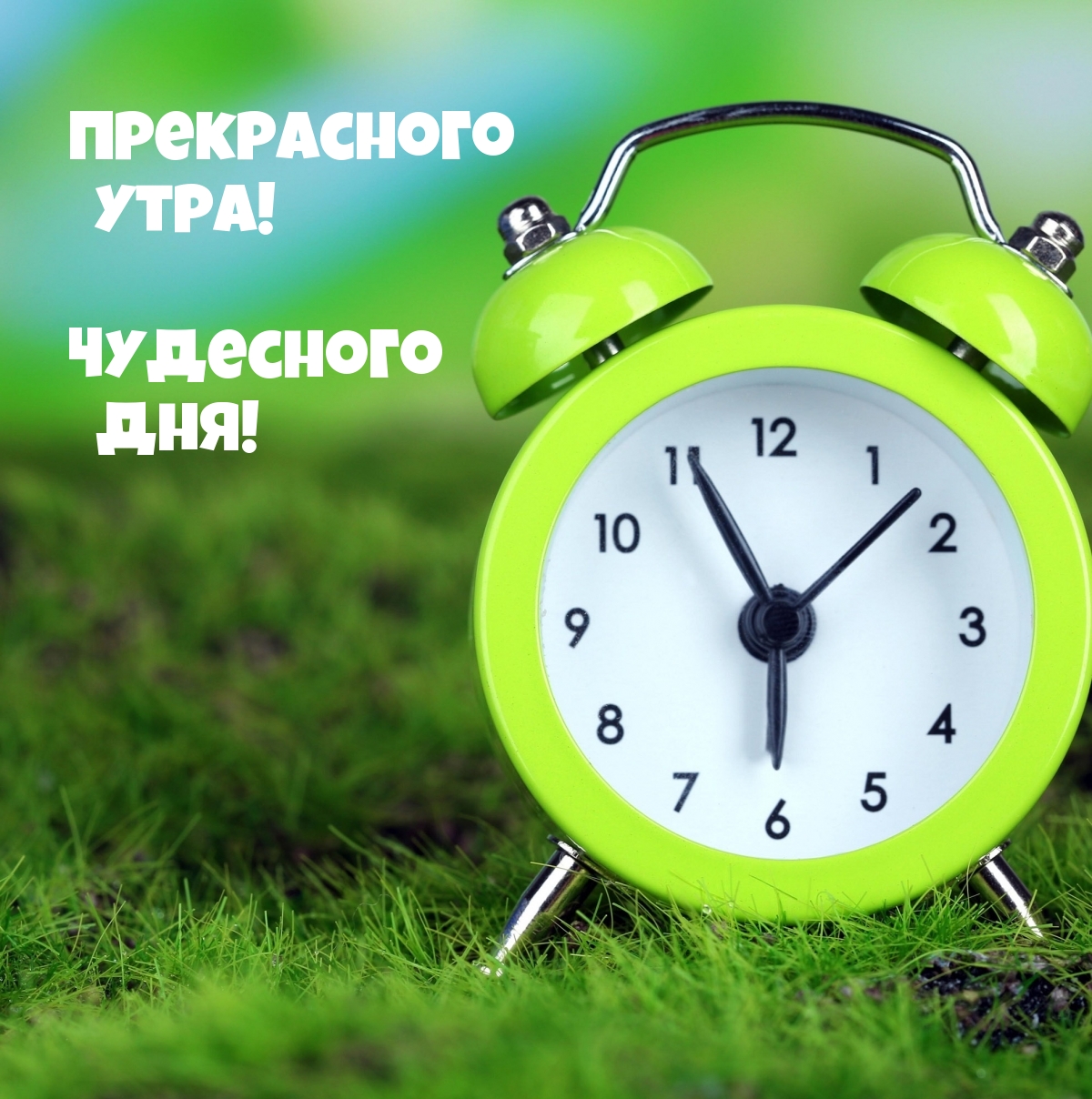 Прекрасного утра! Чудесного дня!