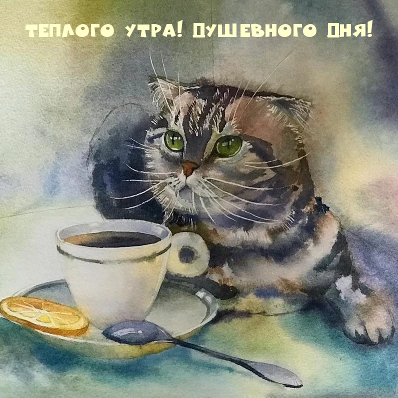 Теплого утра! Душевного дня!