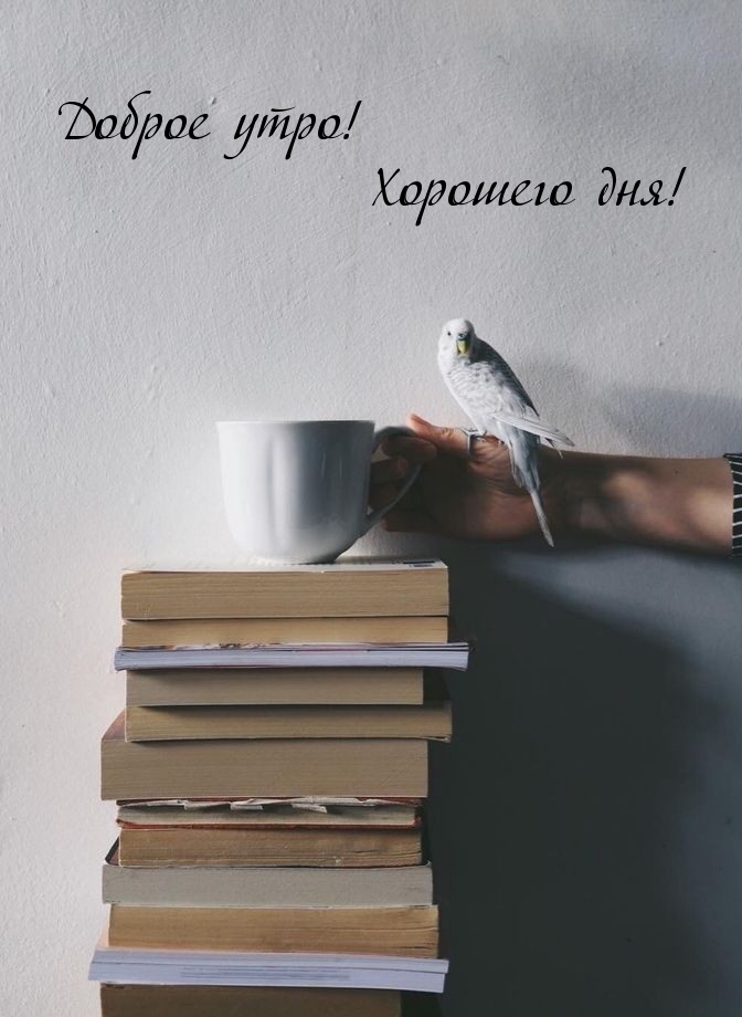 Доброе утро! Хорошего дня!
