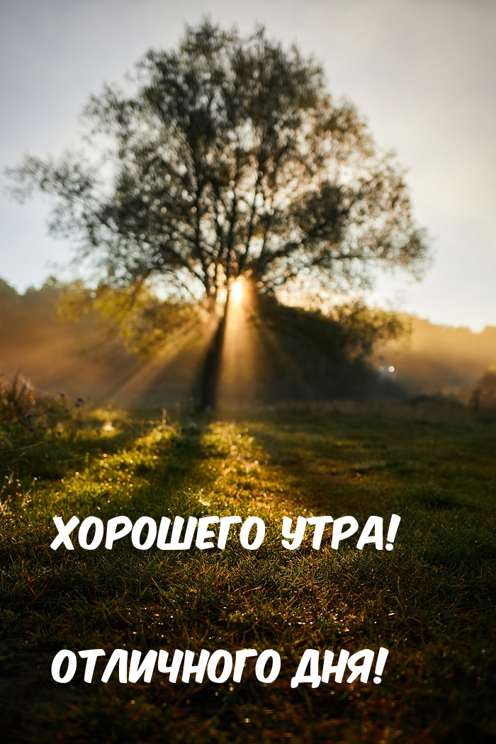 Хорошего утра! Отличного дня!