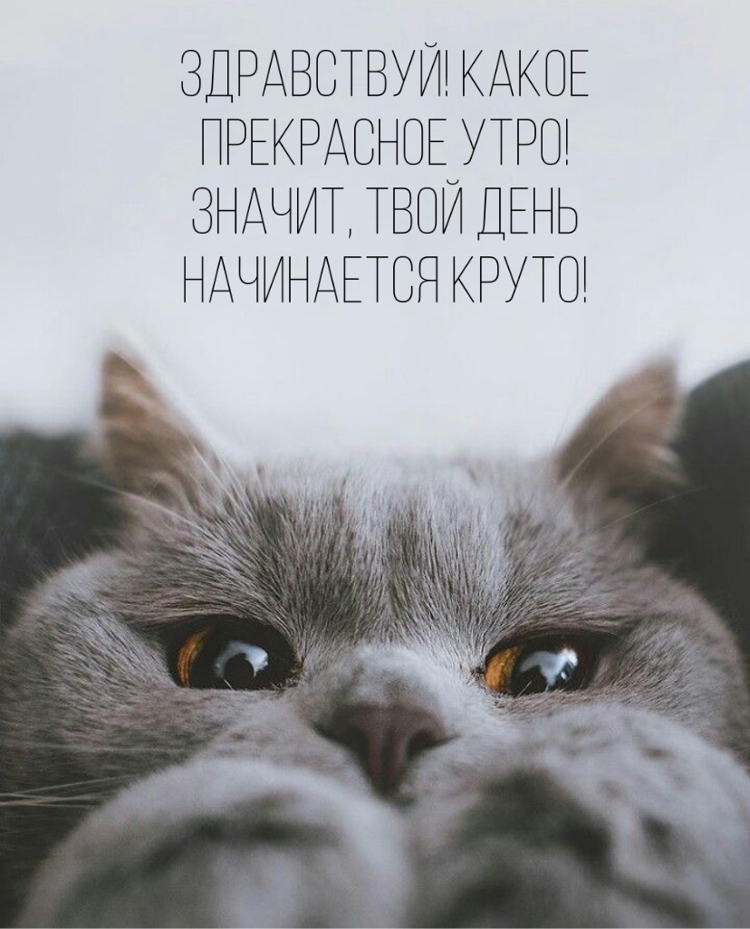 Здравствуй! Какое прекрасное утро!