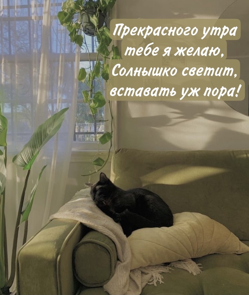 Прекрасного утра тебе я желаю