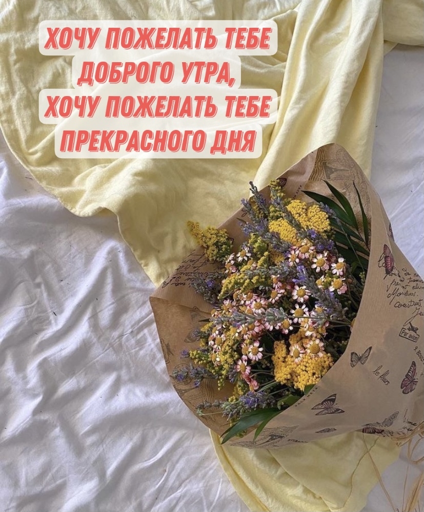 Хочу пожелать тебе доброго утра