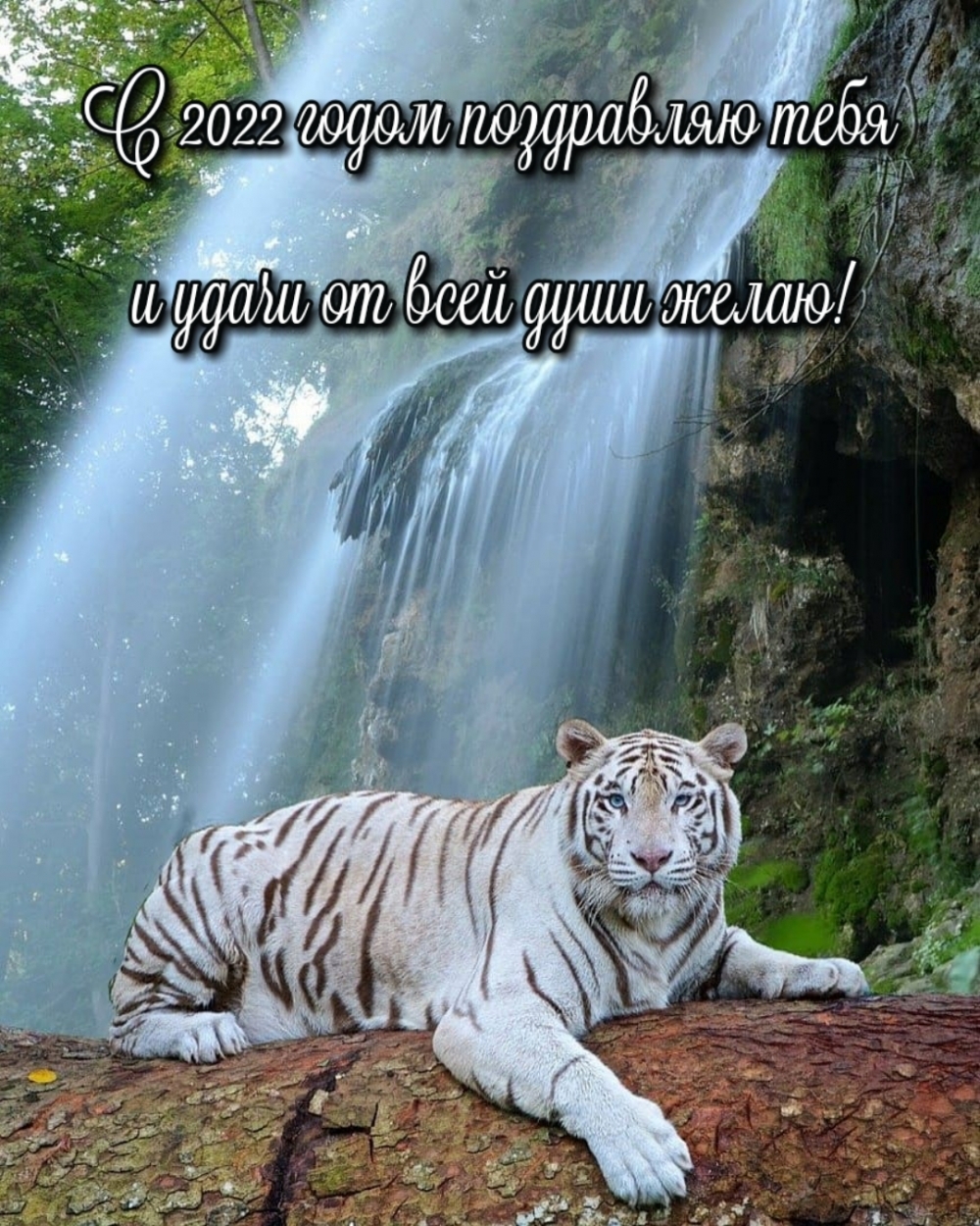 С 2022 годом поздравляю тебя и удачи от всей души желаю!
