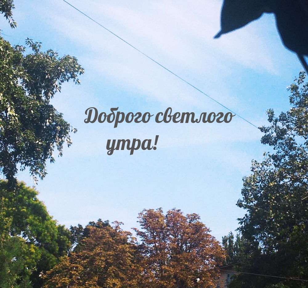 Доброго светлого утра!