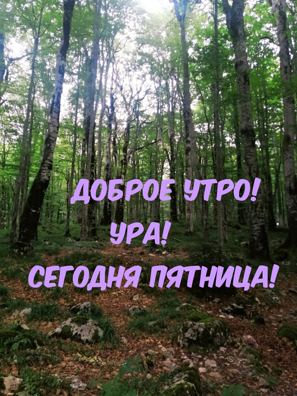 Доброе утро! Ура! Сегодня Пятница!