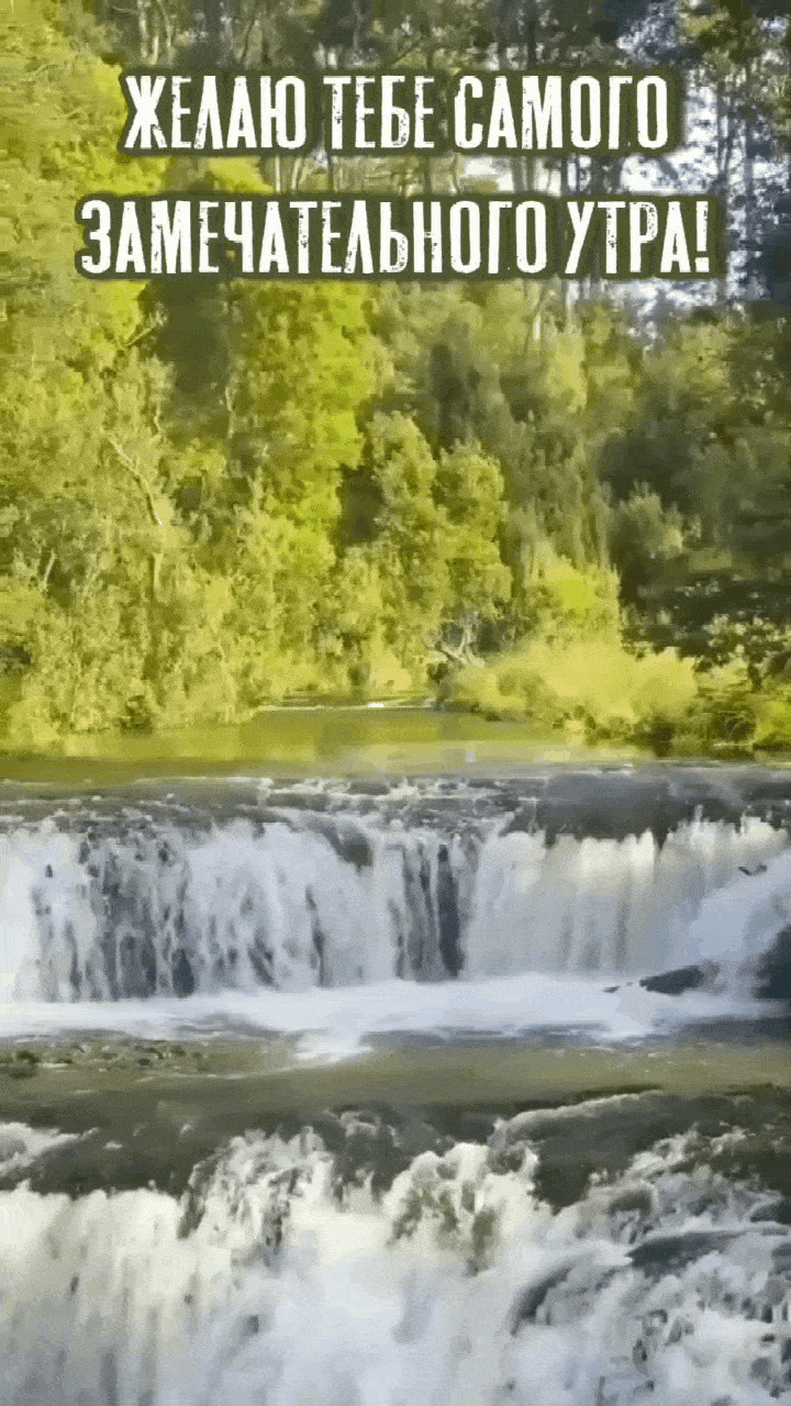 Желаю тебе самого замечательного утра!