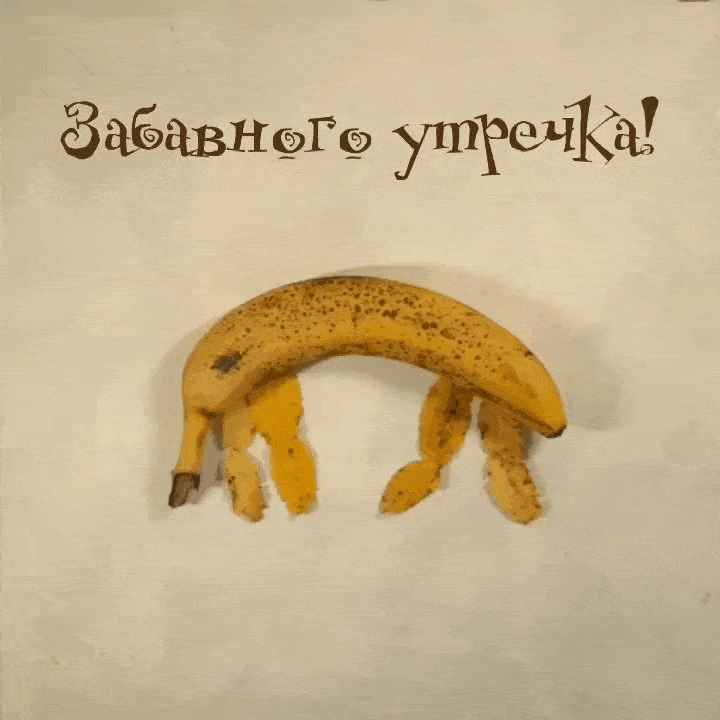 Забавного утречка!