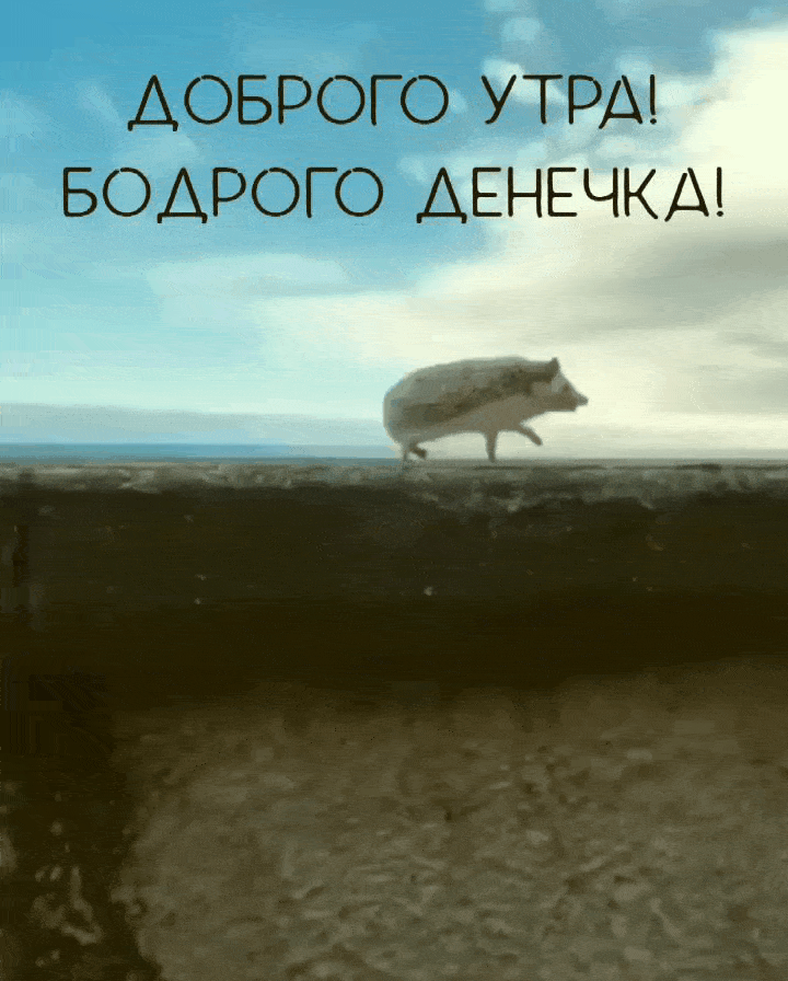 Доброго утра! Бодрого денечка!